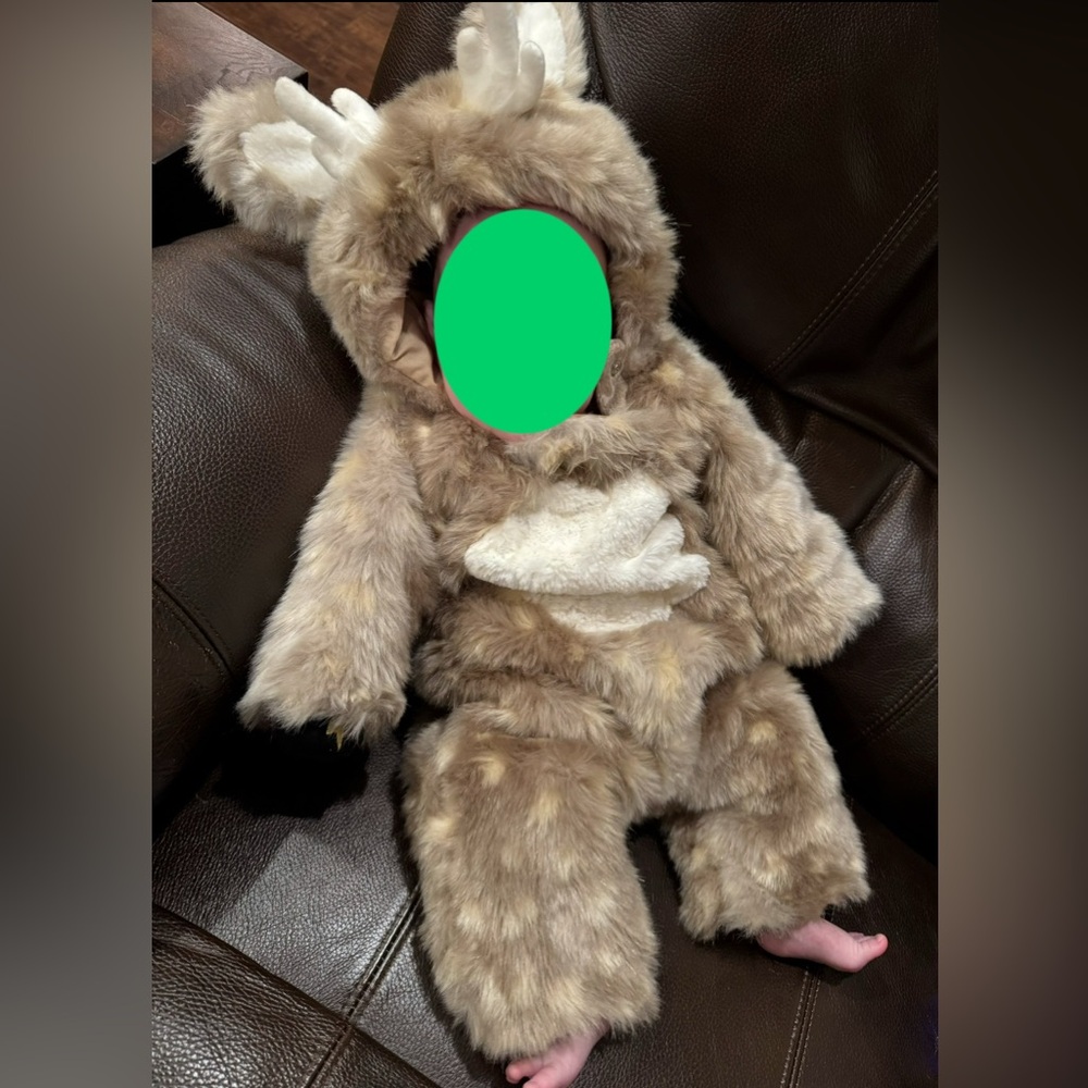 Pottery Barn Kids Furry Deer Costume